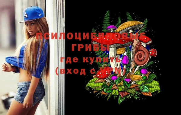 мет Алексин