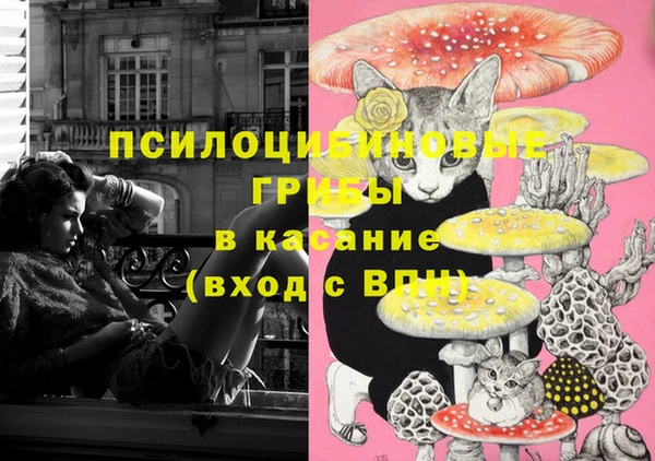 амф Покачи