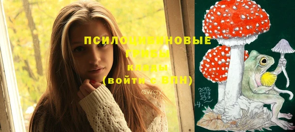 мет Алексин
