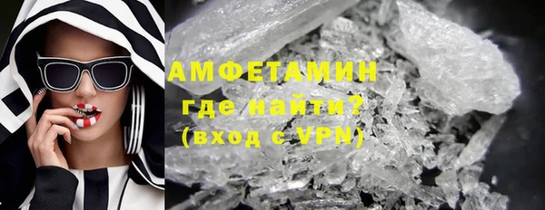 мет Алексин